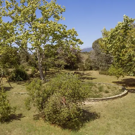 Jeanne Villa Linguizzetta